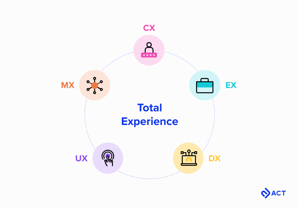 Total Experience Formula